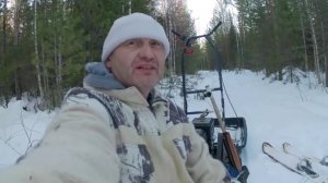 ✅🔥Охота на Лося 2024-25. Ночной добор раненого Зверя. Выезд на Охоту №2.