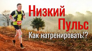 Как натренировать Низкий Пульс?