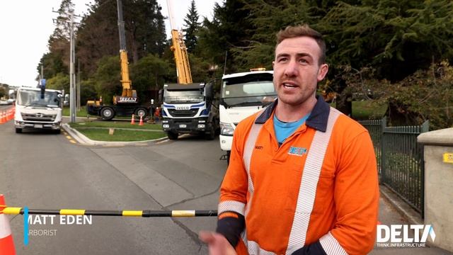 Tree Felling | Dunedin Botanic Gardens смотреть онлайн
