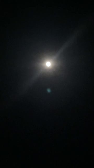 Лунная ночь… ✨🌕✨ смотреть онлайн