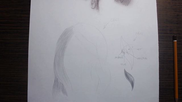 КАК НАРИСОВАТЬ (рисовать) ВОЛОСЫ человека. Обучающий урок. Лучший способ нарисовать волосы смотреть онлайн
