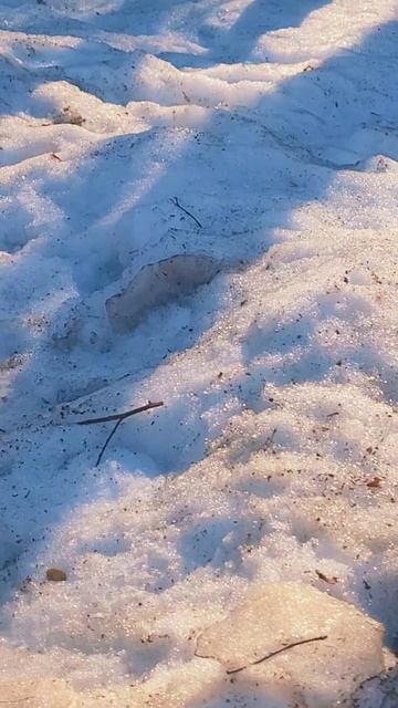 моя белочка пришла 😍 смотреть онлайн