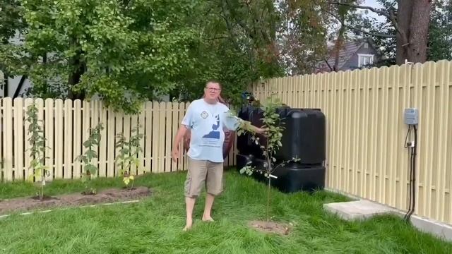 Разбил сад. смотреть онлайн