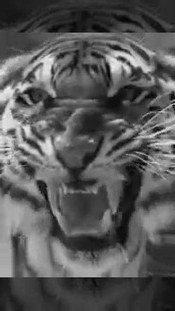 4 January 2022 смотреть онлайн