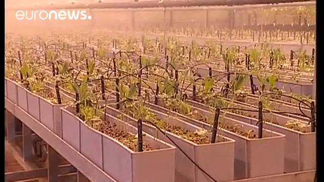 ЕК рассматривает слияние ChemChina и Syngenta - corporate смотреть онлайн