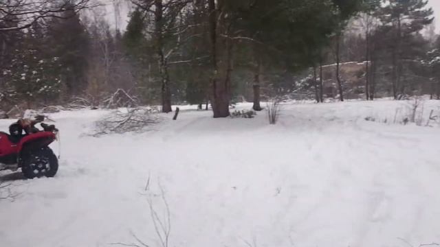 шашлык башлык... смотреть онлайн