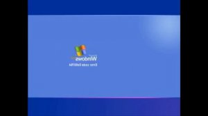 Windows XP Shutdown Error In Reversed