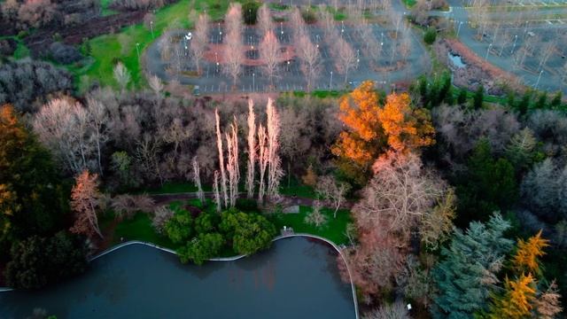Sonoma State University (4k) drone video. 2022 смотреть онлайн