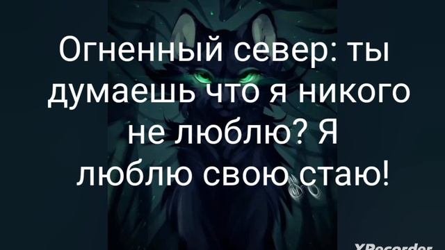 последние слова котов из моей истории... Меня теперь зовут Кленовая Тень! смотреть онлайн