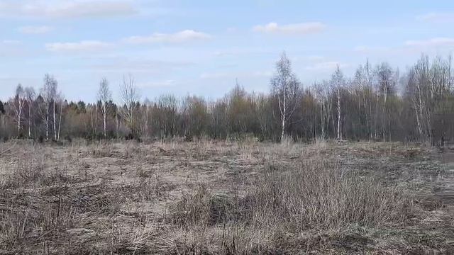 ЗУ :700 Мостки смотреть онлайн