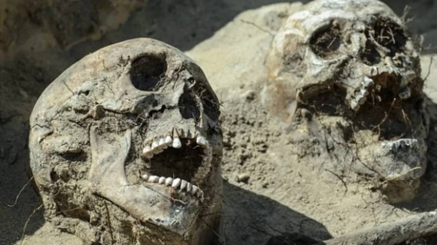 Пережил жару, вроде... чил на самой сложной сборке RLcraft №3