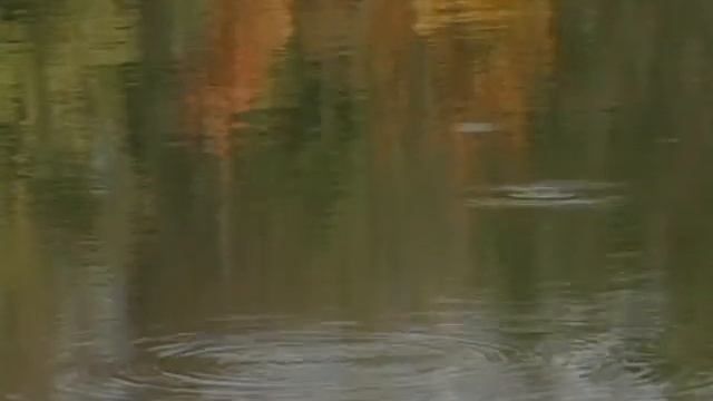 Фильм 7 смотреть онлайн