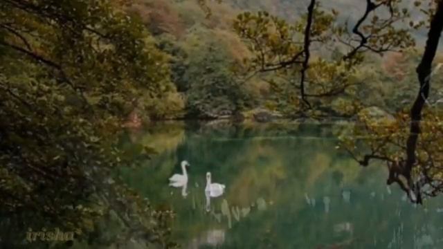 Сергей Грищук - Осень.. смотреть онлайн