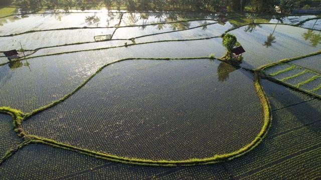Неизведанный Бали: мифы и легенды, которые вас удивят. смотреть онлайн