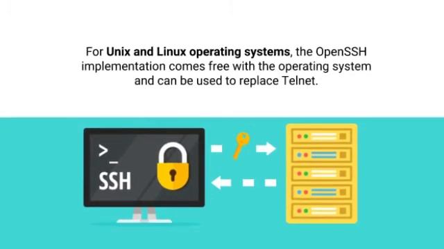FTP and Telnet смотреть онлайн