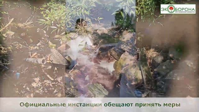 Река Мураниха превратилась в "борщ" #Домодедово смотреть онлайн