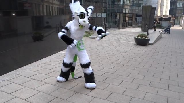 Toxin - Cheap Thrills - Fursuit Dance Video!