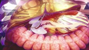 Эндокринная система человека, гормоны, железы внутренней секреции.