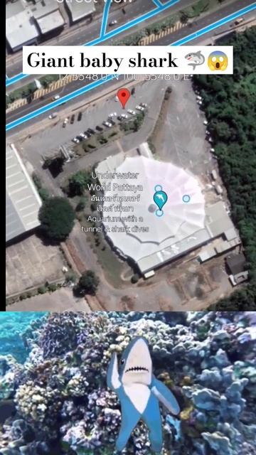 Giant baby shark 🦈😱 on Google Earth 🌎 and Google map search#shots#uniqueonearth смотреть онлайн
