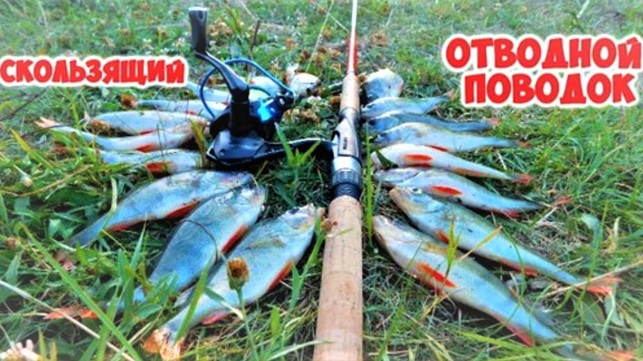 Скользящий отводной поводок. Новинка ловля судака или окуня. смотреть онлайн