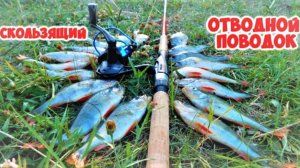 Скользящий отводной поводок. Новинка ловля судака или окуня.
