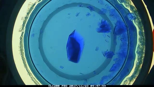 CuSO4.5H2O Crystal growth over ~3days смотреть онлайн