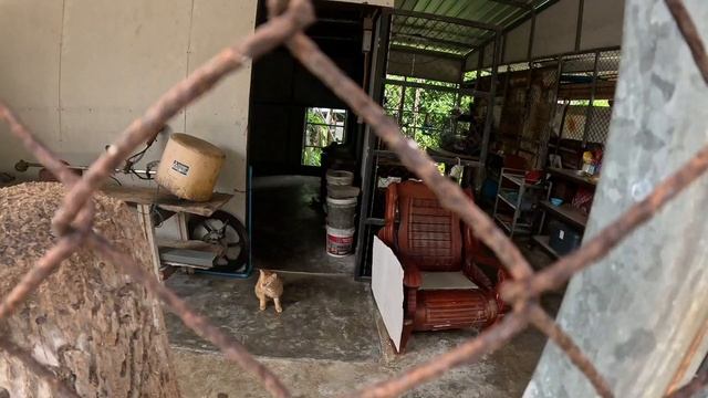 Как пройти из Mida Grande Villas Phuket  до пляжа Сурин по секретной дороге