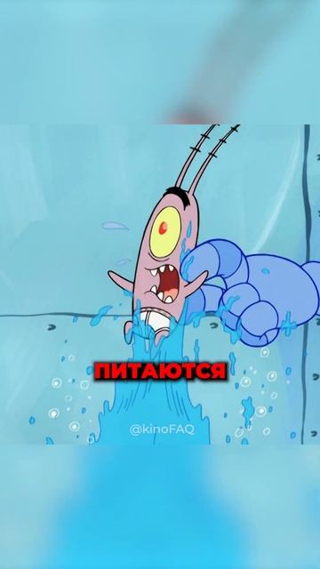 ТЕОРИЯ ПЛАНКТОНА! #cпанчбоб #топ #мультик #теория #никелодеон #кино #spongebob #губкабоб смотреть онлайн