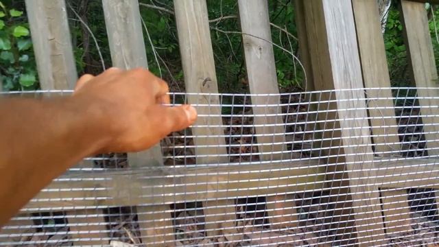 How To Remove Moles and Voles From Your Garden For GOOD! смотреть онлайн