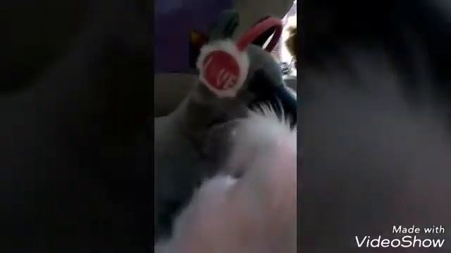 15 ИДЕЙ ДЛЯ ВИДЕО!!! ШОК!! БОБРЫ ЗАХВАТИЛИ МИР!)) смотреть онлайн