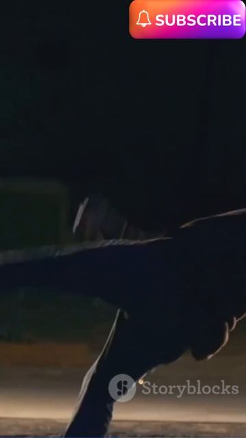 Summary of the Film "The fall guy" #filmsummary #film #movie #movies #movieexplained #movieclips смотреть онлайн