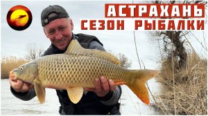 РЫБАЛКА НА САЗАНА! Астрахань / САЗАНИЙ МЫС и Открытие Сезона Рыбалки