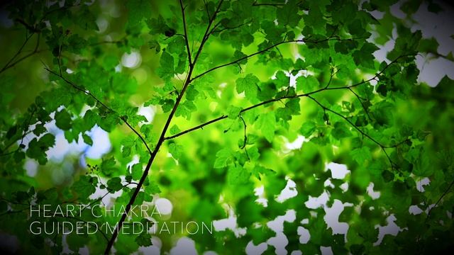 Heart Chakra Opening Guided Meditation - Balancing & Healing - Anahata Chakra смотреть онлайн
