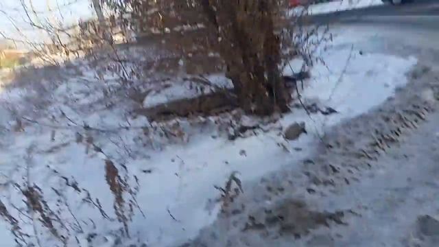 Обзор обыкновенного открытия пятерочки. смотреть онлайн