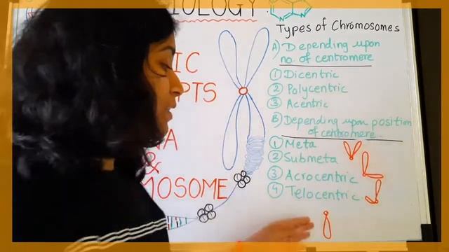 Basic Concepts of DNA & Chromosome 🧬🧬|| STUDY MATTERS смотреть онлайн
