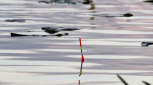 Первая рыбалка на поплавок в апреле! Рыбалка на карася весной 2025