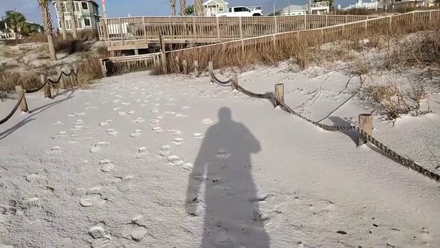 Mexico Beach after the January Storm 1-09-24 смотреть онлайн
