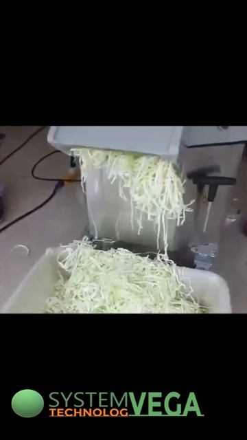 високопродуктивне шинкування капусти/шинковка капусты промышленной овощерезкой с дисковыми ножами