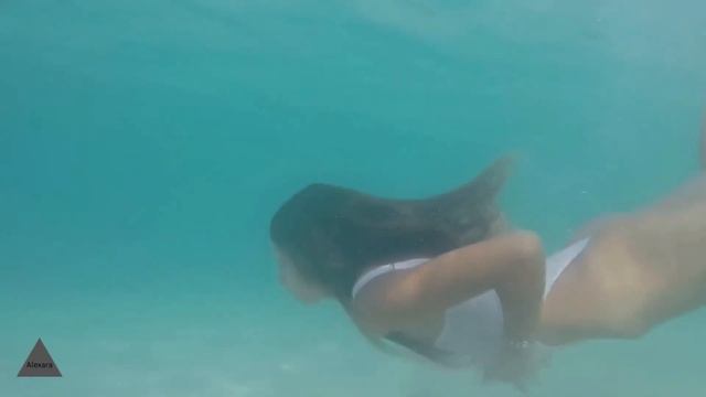 Miami Beach Beauty: Bikini Models on Fire -Alexara #modeling #bikinis #modelingagency #fashion смотреть онлайн