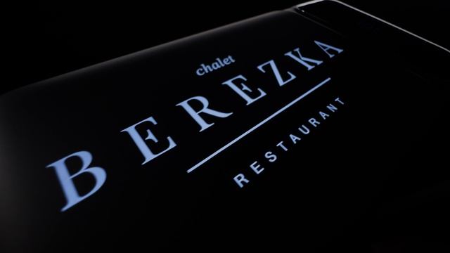 Powerbank BY Berezka