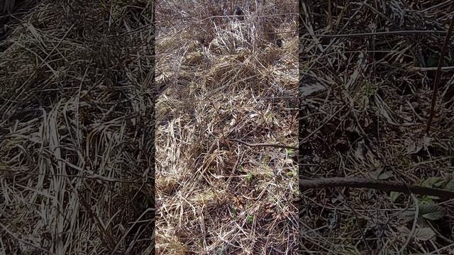 VID_20250403_125919 смотреть онлайн