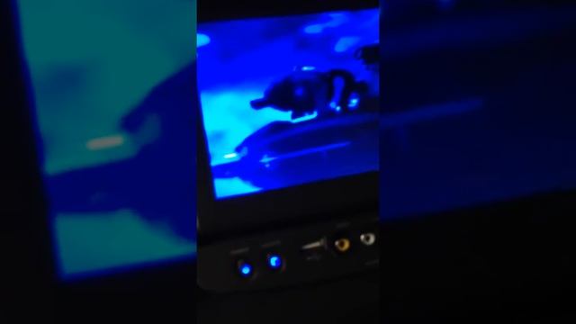Envision DVD player смотреть онлайн
