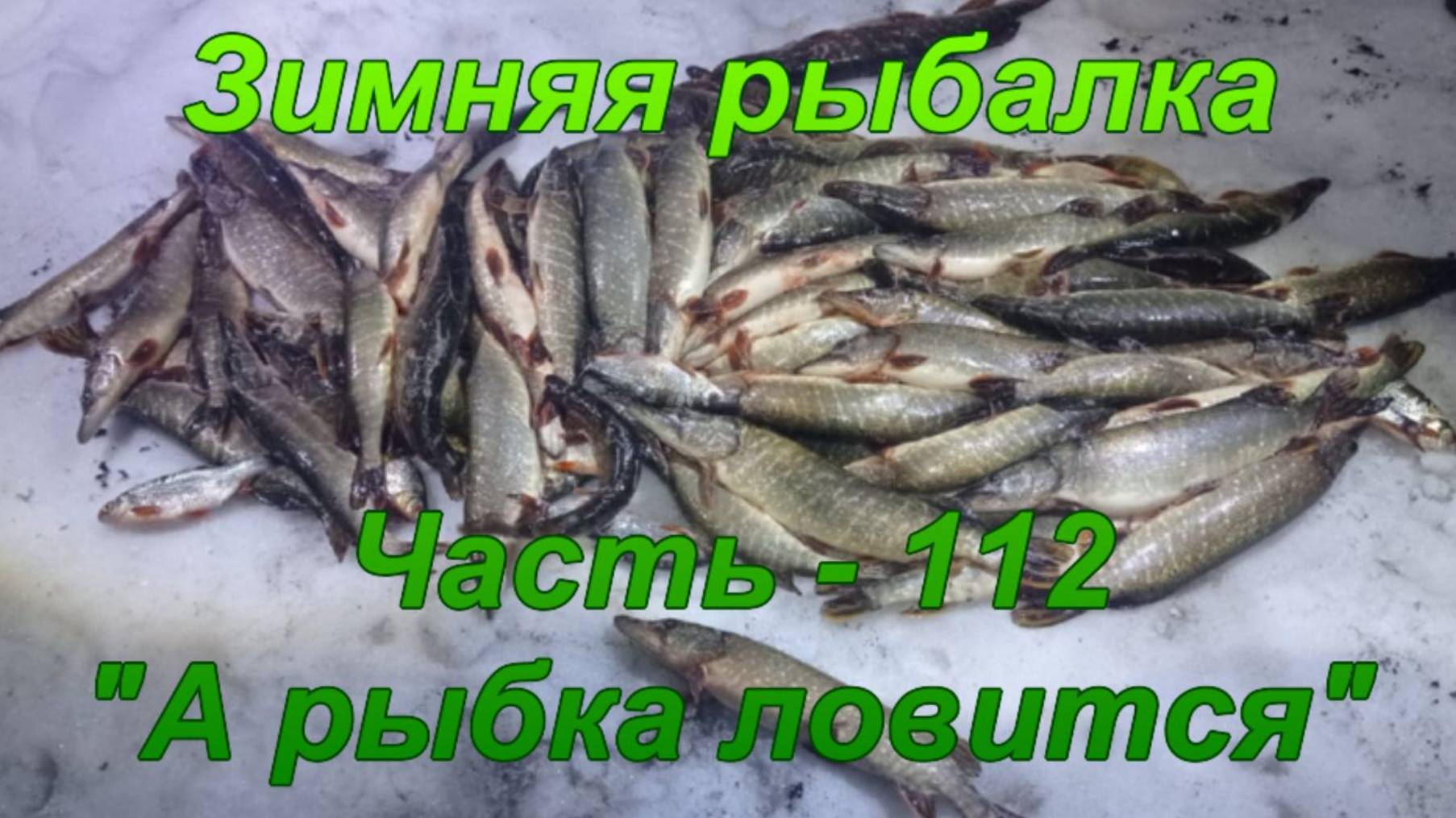 Зимняя рыбалка. Часть - 112. "А рыбка ловится". смотреть онлайн