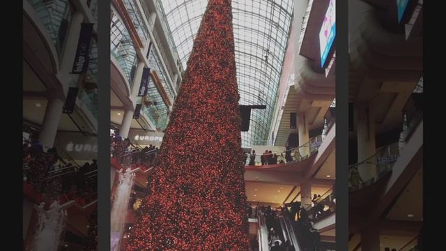 Christimas Tree- The Window dressing смотреть онлайн