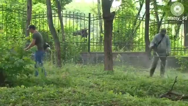 Субботники в Шалинском районе смотреть онлайн