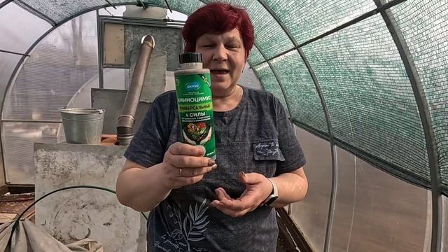 Ранний посев зелени в теплицу!! Улучшаю плодородие почвы!! смотреть онлайн