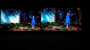 QLED TVs Hisense U8QF vs TCL C815