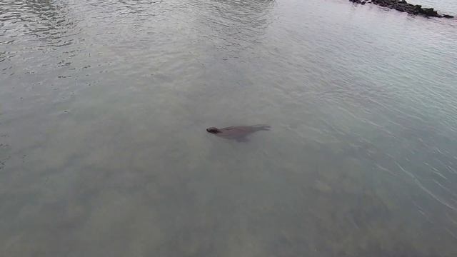 Хто така Таня Кудряшка? смотреть онлайн