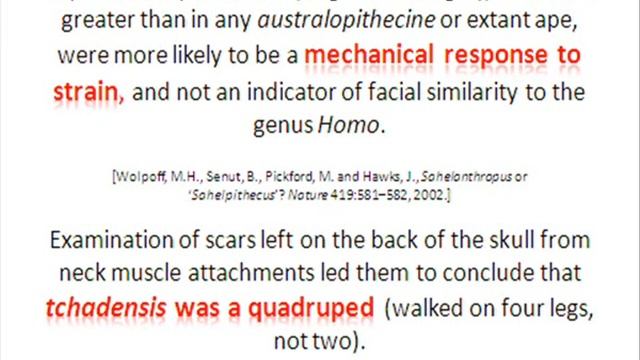 Sahelanthropus tchadensis смотреть онлайн
