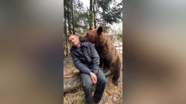 🐻МЕДВЕДИ ПРОЯВЛЮТ СВОЮ ЛАСКУ ИМЕННО ТАКИМ СПОСОБОМ😚 смотреть онлайн
